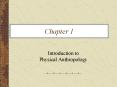 Introduction to Physical Anthropology PowerPoint PPT Presentation
