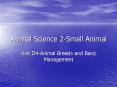 Animal Science 2-Small Animal PowerPoint PPT Presentation