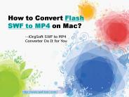 Convert Flash SWF to MP4 Step by Step