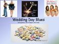 Wedding Day Blues (and greens, and oranges, and reds) PowerPoint PPT Presentation