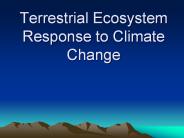 Terrestrial Ecosystem Response to Climate Change