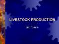 LIVESTOCK PRODUCTION PowerPoint PPT Presentation