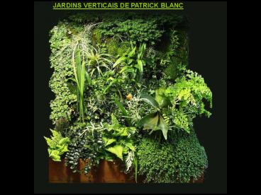 JARDINS VERTICAIS DE PATRICK BLANC