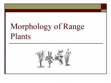 Morphology of Range Plants