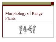 Morphology of Range Plants
