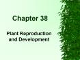 Plant Reproduction and Development PowerPoint PPT Presentation