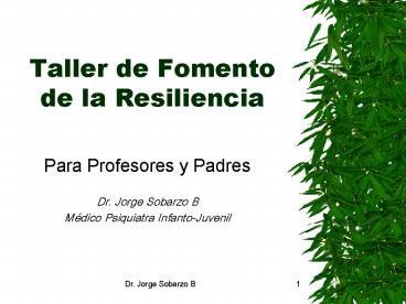 Taller de Fomento de la Resiliencia