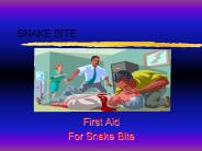 SNAKE BITE