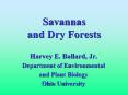 Savannas and Dry Forests PowerPoint PPT Presentation