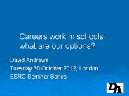 Careers work in schools: what are our options?