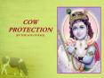 COW PROTECTION (IN THE AGE OF KALI) PowerPoint PPT Presentation