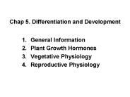 Chap 5. Differentiation and Development