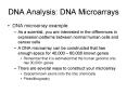 DNA microarray example: PowerPoint PPT Presentation