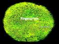 Fingerprints PowerPoint PPT Presentation