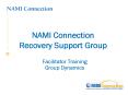 NAMI Connection Recovery Support Group PowerPoint PPT Presentation