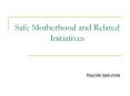 Safe Motherhood and Related Initiatives PowerPoint PPT Presentation