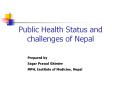 Public Health Status and challenges of Nepal PowerPoint PPT Presentation