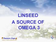 LINSEED