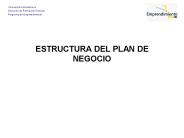 ESTRUCTURA DEL PLAN DE NEGOCIO