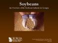 Soybeans An Overview of the Soybean Industry in Georgia PowerPoint PPT Presentation