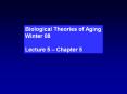 Biological Theories of Aging PowerPoint PPT Presentation