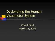 Deciphering the Human Visuomotor System