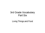 3rd Grade Vocabulary Part Six