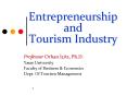 Entrepreneurship and Tourism Industry PowerPoint PPT Presentation