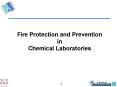 Fire Protection and Prevention in Chemical Laboratories PowerPoint PPT Presentation