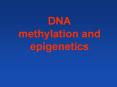 DNA methylation and epigenetics PowerPoint PPT Presentation