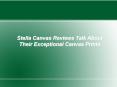 Stella Canvas Reviews PowerPoint PPT Presentation