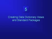 Creating Data Dictionary Views and Standard Packages