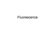 Fluorescence