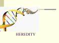 CELLS AND HEREDITY PowerPoint PPT Presentation