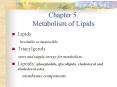 Chapter 5. Metabolism of Lipids PowerPoint PPT Presentation