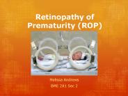 Retinopathy of Prematurity (ROP)