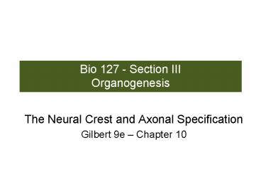 Bio 127 - Section III Organogenesis
