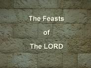 The Feasts