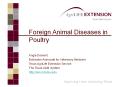 Foreign Animal Diseases in Poultry PowerPoint PPT Presentation