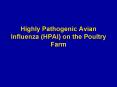 Highly Pathogenic Avian Influenza (HPAI) on the Poultry Farm PowerPoint PPT Presentation
