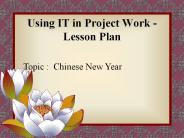 Using IT in Project Work - Lesson Plan