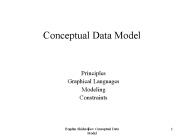 Conceptual Data Model