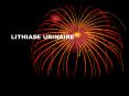 LITHIASE URINAIRE PowerPoint PPT Presentation