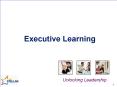 Executive Learning PowerPoint PPT Presentation