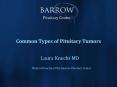 Common Types of Pituitary Tumors PowerPoint PPT Presentation