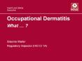 Occupational Dermatitis What  PowerPoint PPT Presentation