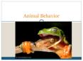 Animal Behavior PowerPoint PPT Presentation