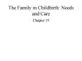 The Family in Childbirth: Needs and Care PowerPoint PPT Presentation
