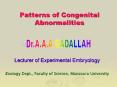 Patterns of Congenital Abnormalities PowerPoint PPT Presentation