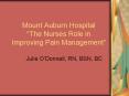 Mount Auburn Hospital  PowerPoint PPT Presentation